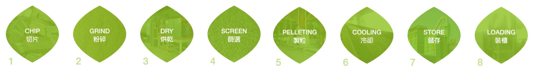 Wood pellet process: CHIP, GRIND, DRY, SCREEN, PELLETING, COOLING, STORE, LOADING