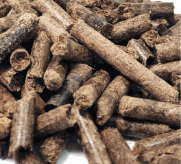 Pellets produced from empty fruit bunch (efb)