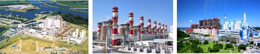 Thermal power station in South Korea supplied with TSUNG CHANG wood pellets